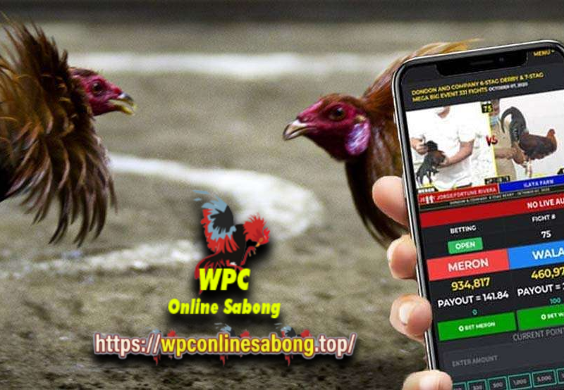 WPC Online Sabong: The Exciting Thrill of Live Sabong Betting in Online Casino Experience