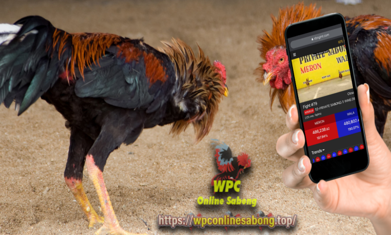 WPC Online Sabong: How to Stay in Control While Playing Online Casino Sabong